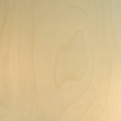 Barc Wood Sheet W/paper Backing 12x12-white Birch 